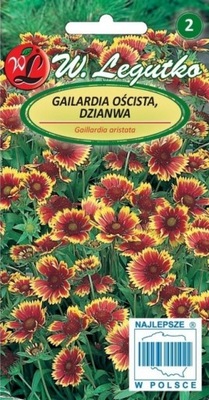 GAILARDIA OŚCISTA (DZIANWA) - piękna bylina o dużych kwiatach (DWZ)