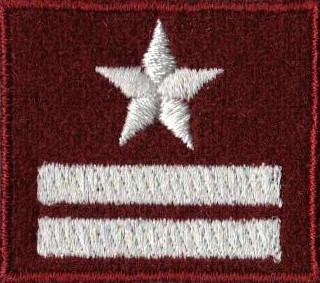 STOPIEŃ WOJSKOWY NA BERET BORDOWY MAJOR