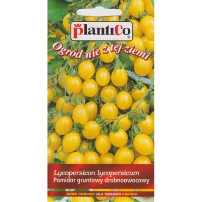 Pomidor Gruntowy Ola Polka 0,5G Standard Plantico
