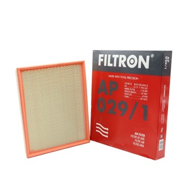 FILTRON AP 029/1 FILTRO AIRE  