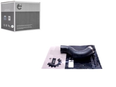 Шланг турбіни renault master 3 2.3 dci esen skv фото №1