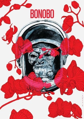 Plakat Bonobo 50x70 aut. M. Wolański