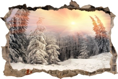 FOTOTAPETA Dziura 3D naklejka ZIMOWY LAS ZIMA