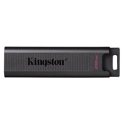 Kingston USB Flash Drive DataTraveler Max 256 GB,