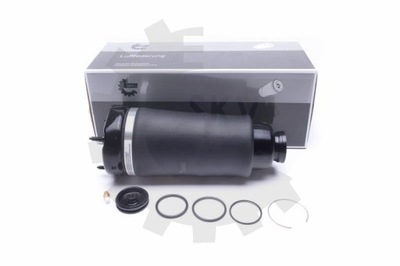 Esen skv 58skv066 амортизатор пневматический фото №1