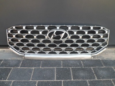 Hyundai santa fe 2020- решітка радіатора захист радіатора фото №1