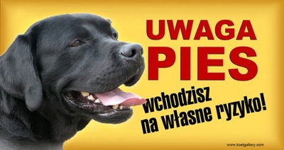 LABRADOR RETRIEVER UWAGA PIES TABLICZKA