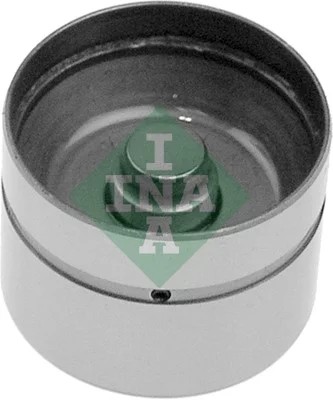 INA 420004910 PUSH ROD VALVES  