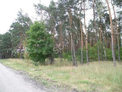 Działka, Józefów, Józefów, 3077 m²