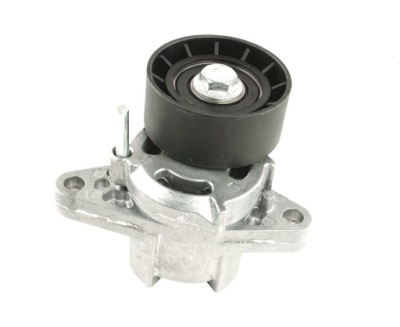 Натягувач ремінь micro-v kangoo 98 комплект  1.4 / 1.6 16v фото №1