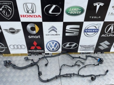 Nissan ariya електропроводка двигуна фото №1