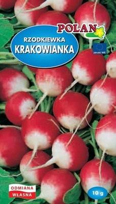 RZODKIEWKA KRAKOWIANKA 10G