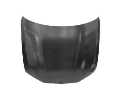 Капот do bmw x7 g07 2019- 41007933467 фото №1