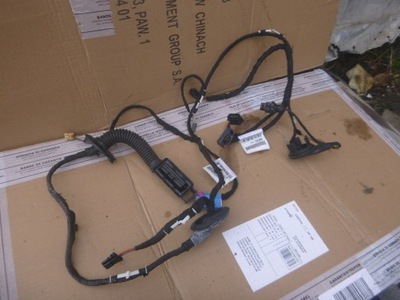 Джгут двері правий задня audi q5 8r0971687af фото №1