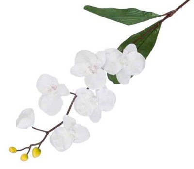 STORCZYK gałązka Phalaenopsis White