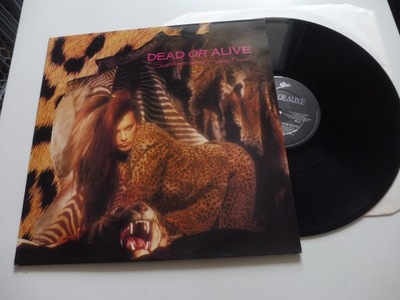 Dead Or Alive – Sophisticated Boom Boom UK