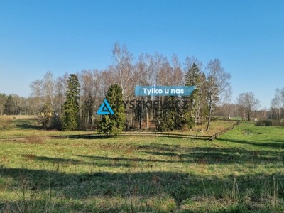 Działka, Miłowo, Przywidz (gm.), 3221 m²