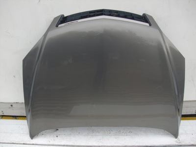 Opel antara капот сіра решітка радіатора irmscher фото №1