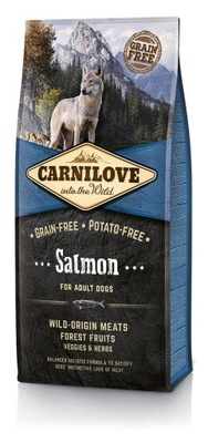 CARNILOVE Salmon Adult Grain-free Łosoś 4 kg