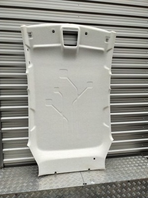 Renault zoe i потолок потолок фото №1