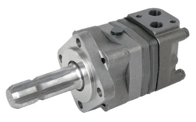 MOTEUR ORBITALNYWAL Ø 1-3/8 Z-6 250CC - milautoparts.fr