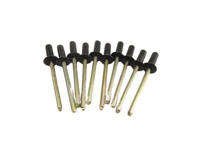 Заклёпки renault r19 kangoo 7703072132 фото №1