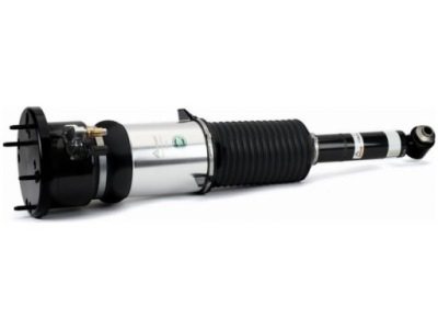 Амортизатор пневматический arnott ase-3820 фото №1