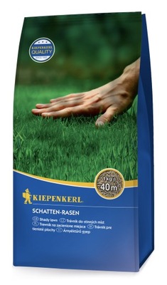 Trawa Kiepenkerl do cienia Shady Lawn 1kg