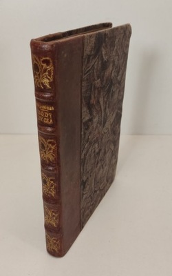 DYGASIŃSKI - GODY ŻYCIA Wyd.1925 Opr. RADZISZEWSKI