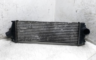 Радиатор интеркулер renault trafic ii minibus / passenger jl 985650bb фото №1