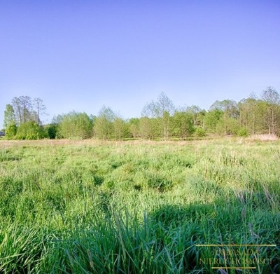 Działka, Stara Łuplanka, 20250 m²