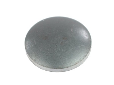 ZAŚLEPKA GŁOWICY BOCZNA C-330/C-360 50/10-148/1 50