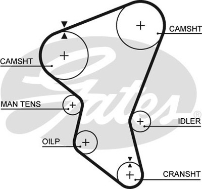 GATES РЕМІНЬ ГРМ ISUZU FARGO MIDI 2.0D/2.2D/2.4D 01.83-07.96