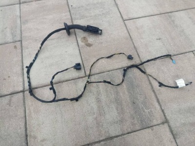 Жгут дверь правый  задняя задняя bmw x1 f48 европа оригинал фото №1