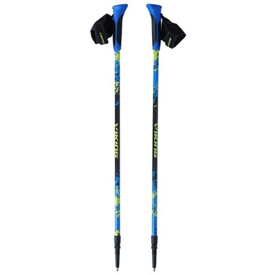 Kije Nordic Walking Viking Ruten Pro