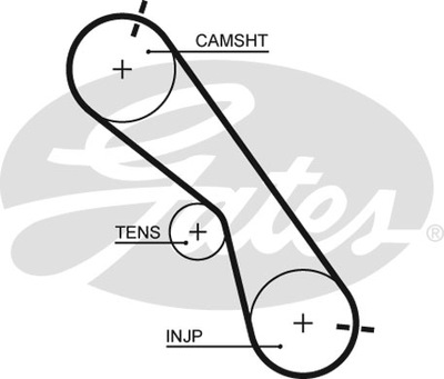 РЕМЕНЬ ГРМ GATES 5560XS