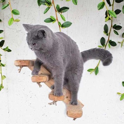 Dollcini, zabawka dla kota, drabinka do wspinaczki dla kota montowana na ścianie, schody na ścianę dla kota