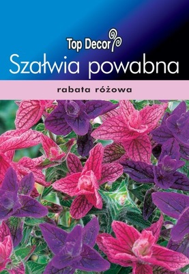 Szałwia powabna