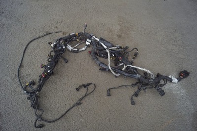 Электропроводка двигателя maserati quattroporte vi 3.8 фото №1