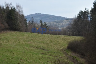 Działka, Wieprz, 7823 m²