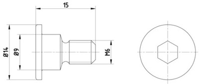 TEXTAR TPM0001 PERNO FRENOS DISCO M6X1 /2SZT/  