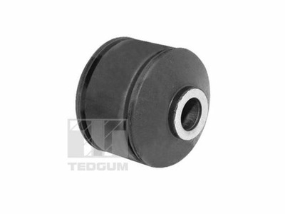 BUSHING SWINGARM TED19869  