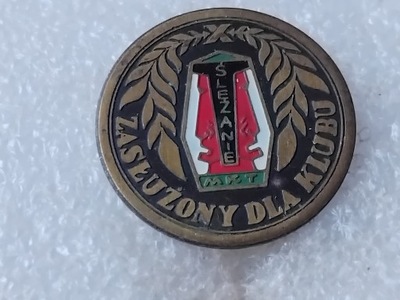 odznaka ZASŁUGI DLA KLUBU MKT