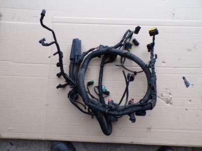 Жгут двигателя mini cooper r55 r56 r57 1.6 d 96538055 фото №1