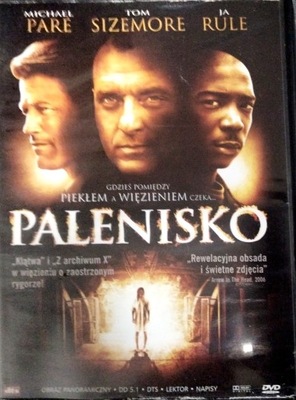 Film Palenisko płyta DVD