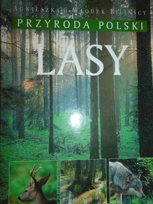 Przyroda Polski. Lasy - Agnieszka Bilińska