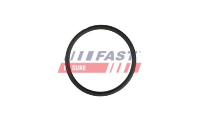 Уплотнительное кольцо fiat ducato 02 насоса воды 2.3 jtd малый фото №1