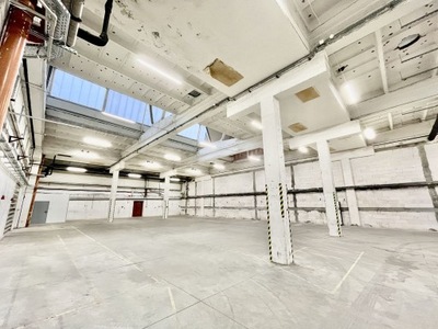 Magazyny i hale, Pabianice, 2680 m²