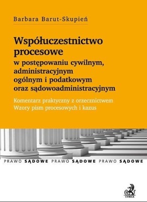 Współuczestnictwo procesowe w postępowaniu