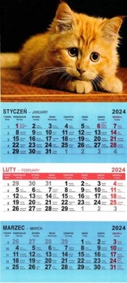 Kalendarz 2024 O-press Ścienny Trójdzielny Duży Kotek rudy
